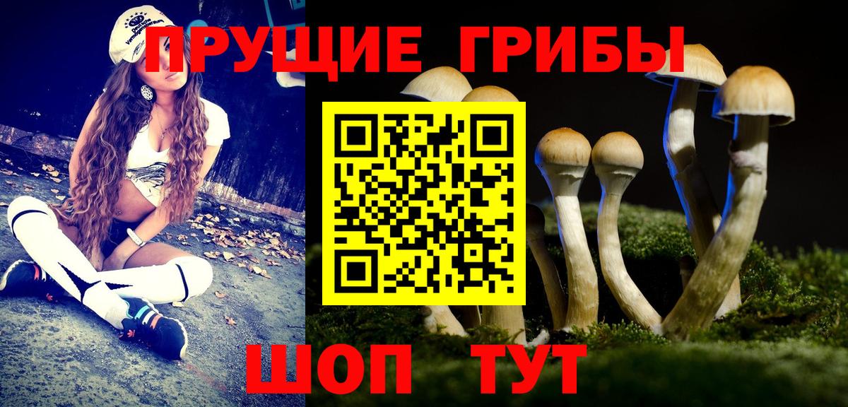 Галлюциногенные грибы прущие грибы  Вход с VPN  Заречный 